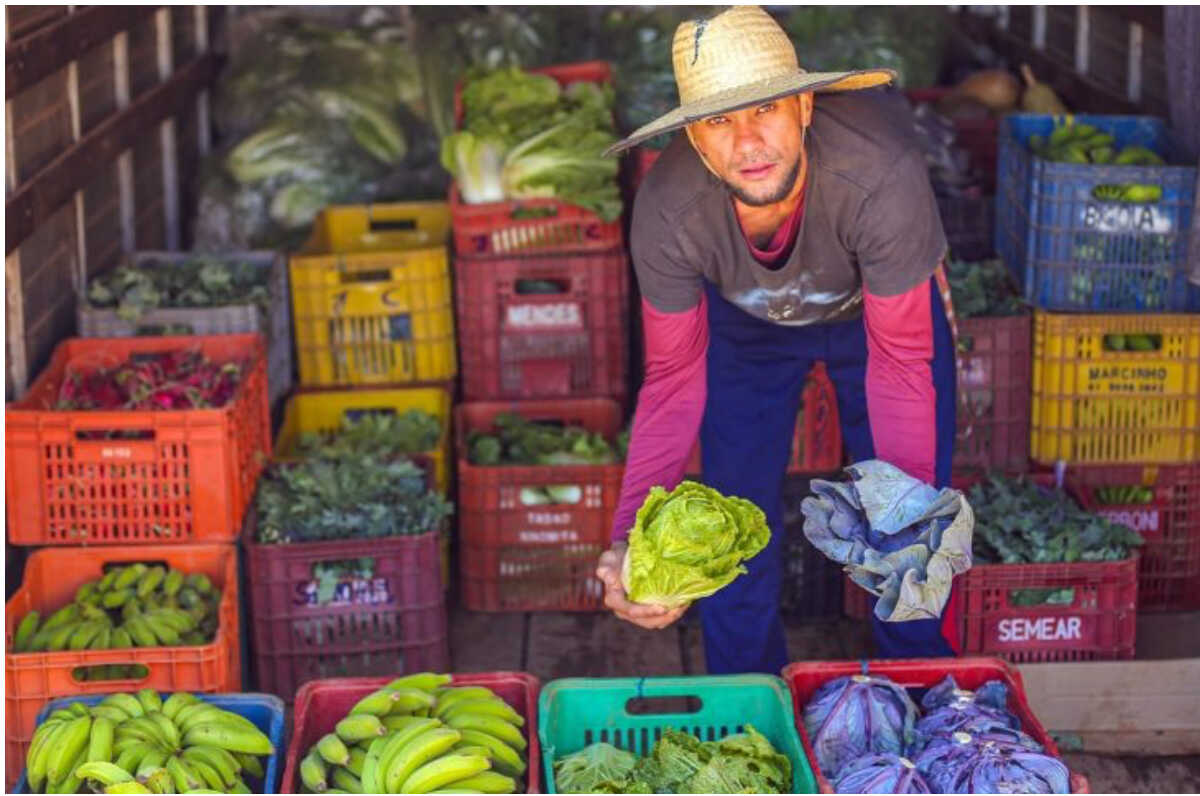 Secretaria de Saúde de MS realiza aula sobre 10 anos do Guia Alimentar
