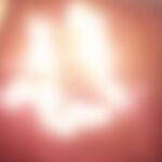 Garoto de 14 anos joga cachorros em fornalha, filma e publica vídeo