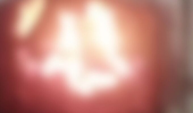 Garoto de 14 anos joga cachorros em fornalha, filma e publica vídeo