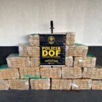 DOF apreende 400 quilos de maconha na Linha Internacional em Coronel Sapucaia