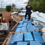 DOF apreende carreta com 8 toneladas de maconha em meio a carga de fertilizantes