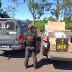 DOF apreende carro com quase R$ 200 mil em materiais ilegais