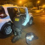 DOF apreende drogas em compartimentos ocultos em carro que seguia para São Paulo