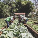 Estudantes do campo agora têm vagas reservadas no Sisu