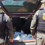 Foragido da Justiça é preso pelo DOF com defensivos agrícolas contrabandeados