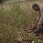 Governo de MS lança campanha contra às arboviroses