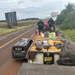 Mais de 12 toneladas de maconha são apreendidas pelo DOF em Aral Moreira