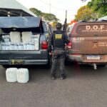 Mais de uma tonelada de defensivo agrícola contrabandeado é apreendida pelo DOF em Vista Alegre