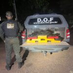 Mineiros são presos pelo DOF com drogas que seriam levadas para São Paulo