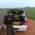 Mulheres que seguiam para Goiás com maconha são presas pelo DOF no município de Aral Moreira