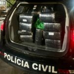 Polícia Civil apreende 250kg de maconha e prende suspeito em flagrante em Naviraí