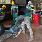 Polícia Civil incinera 13 toneladas de drogas em Ponta Porã