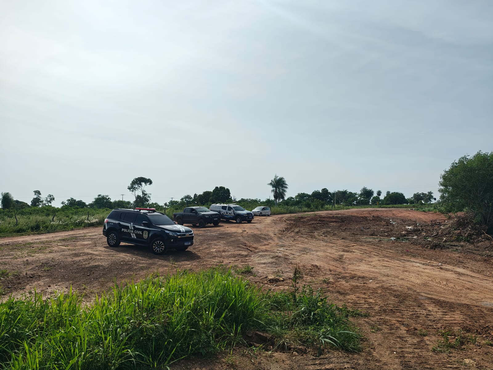 Polícia Civil incinera 800 quilos de maconha em Caracol