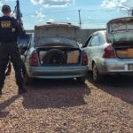 Veículos carregados com produtos ilegais são apreendidos pelo DOF Dourados