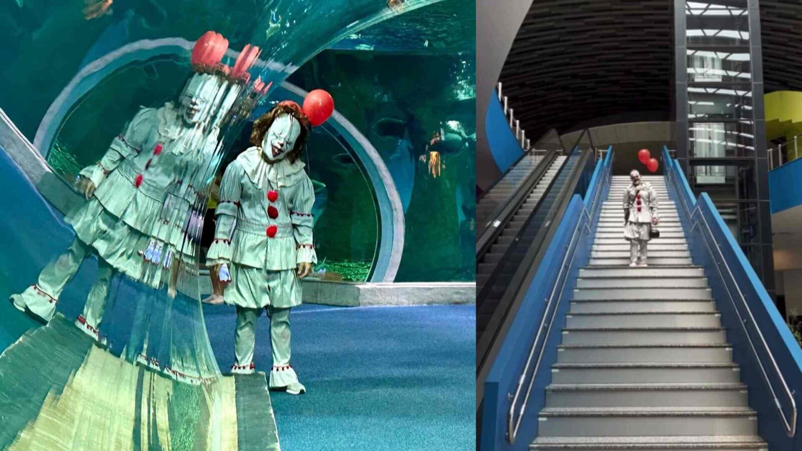 Palhaço ‘do mal’ assusta crianças em Bioparque