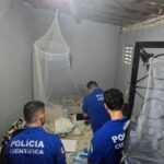 Pedófilo fingia ter 14 anos e convencia adolescentes a enviarem nudes