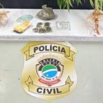 Homem é preso pela Polícia Civil por tráfico de drogas em Naviraí