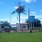 Polícia Civil, Marinha, PMA e forças parceiras realizam operação de resgate de filhotes de periquitos no Pantanal