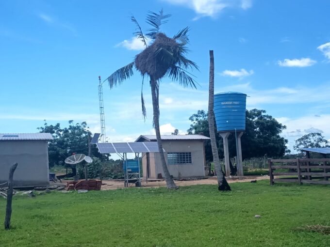 Polícia Civil, Marinha, PMA e forças parceiras realizam operação de resgate de filhotes de periquitos no Pantanal