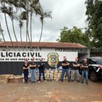 Polícia Civil arrecada alimentos e brinquedos, para distribuição em Dois Irmãos do Buriti