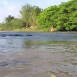 Jovem desaparece ao entrar para nadar no Rio Aquidauana