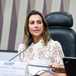 Emenda da senadora Soraya, que devolve a erva-mate à Cesta Básica Nacional, é aprovada