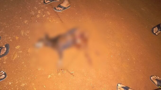 Cachorro é atacado e morto por Pitbull solto em Sidrolândia