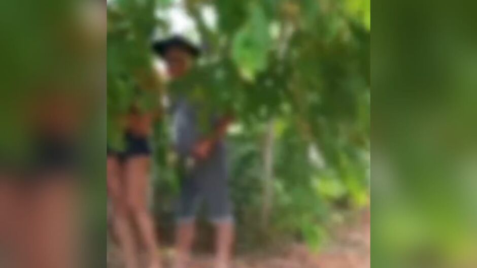 Idoso é flagrado mantendo relação sexual com travesti debaixo de uma árvore, em Aquidauana
