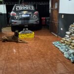 Sidrolandense é preso com drogas avaliadas em mais de R$ 6,9 milhões