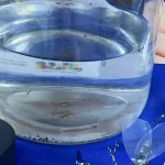 Casos confirmados de dengue já somam 253 no Estado