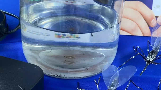 Casos confirmados de dengue já somam 253 no Estado