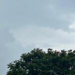 Alertas do Inmet colocam os 79 municípios de MS em risco de tempestade