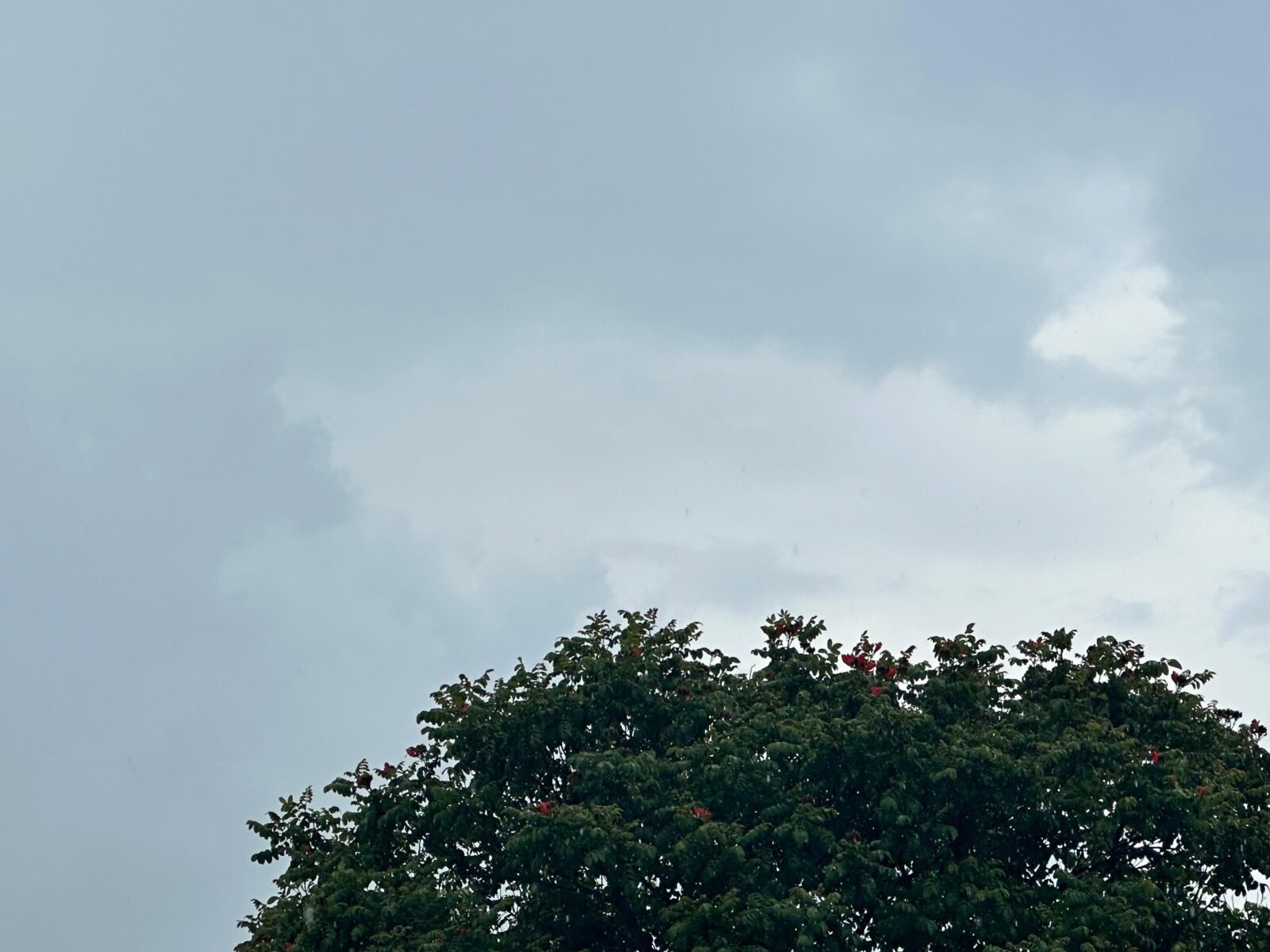 Alertas do Inmet colocam os 79 municípios de MS em risco de tempestade