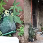 Duas pessoas são presas por deixar travesti com 90% do corpo queimado após discussão em boate