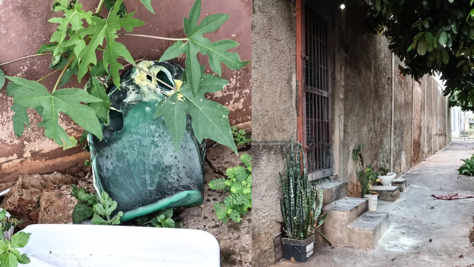 Duas pessoas são presas por deixar travesti com 90% do corpo queimado após discussão em boate