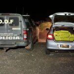 DOF apreende mais de 350 quilos de drogas que seguiam para São Paulo