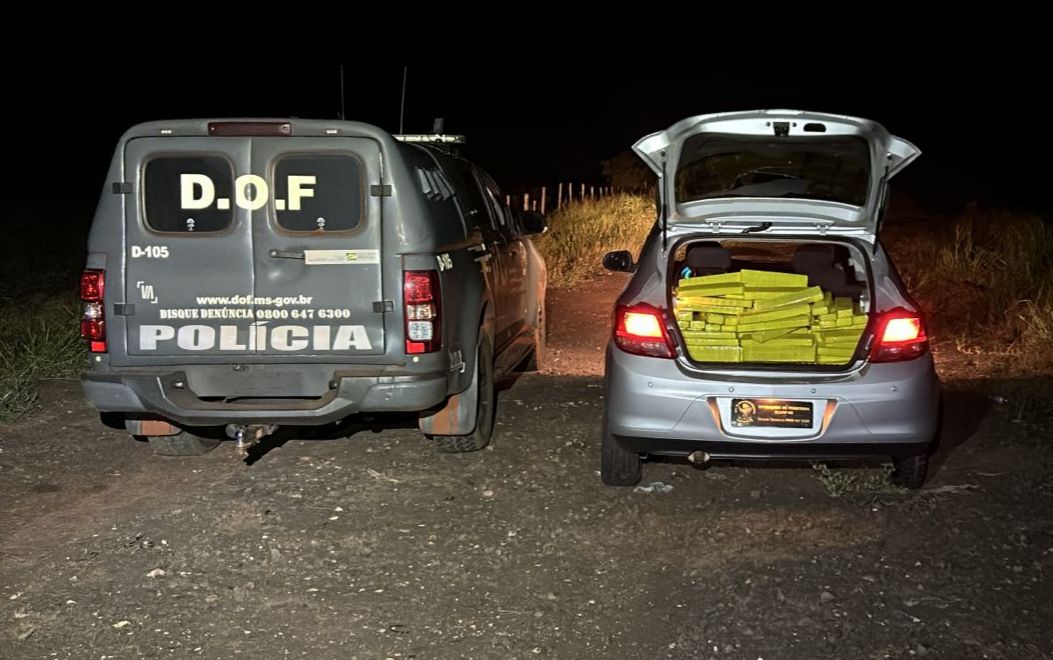 DOF apreende mais de 350 quilos de drogas que seguiam para São Paulo