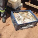 Homem é preso em Campo Grande por expor a venda produtos impróprios para consumo