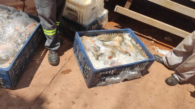 Homem é preso em Campo Grande por expor a venda produtos impróprios para consumo