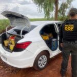 Homem que seguia para São Paulo com quase 400 quilos de maconha é preso pelo DOF Amambai