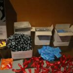 Mato Grosso do Sul priorizou combate ao HIV em 2024