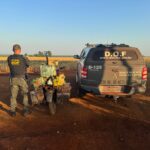Paraguaio é preso pelo DOF com mais de 150 quilos de drogas em moto