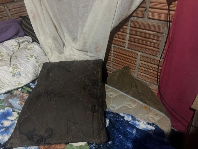 Polícia Civil prende em flagrante suspeita pelo crime de maus tratos com resultado morte