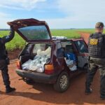 Veículo carregado com 400 quilos de agrotóxicos e pneus ilegais é apreendido pelo DOF em Maracaju