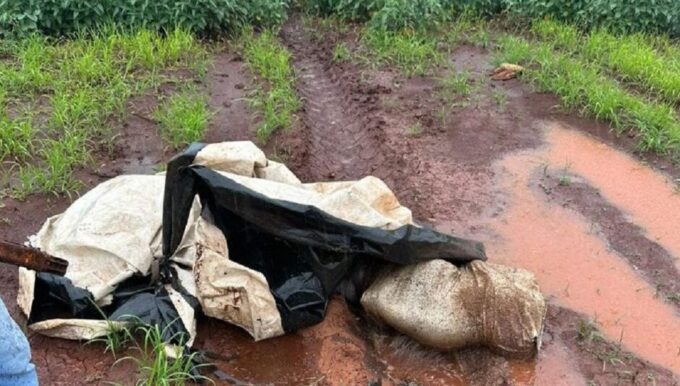 Corpo de homem é encontrado enrolado em sacos plásticos em Ponta Porã