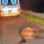 Motociclista e cavalo morrem em batida em rodovia na fronteira com Paraguai