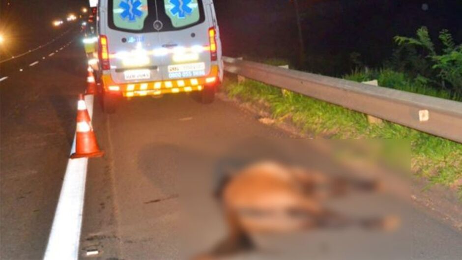 Motociclista e cavalo morrem em batida em rodovia na fronteira com Paraguai
