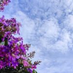 Sol continua com pancadas de chuva isoladas nesta quinta-feira em MS