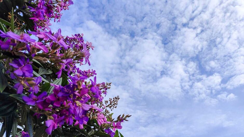 Sol continua com pancadas de chuva isoladas nesta quinta-feira em MS