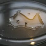 Campanha de mobilização contra dengue nas escolas começa nesta segunda